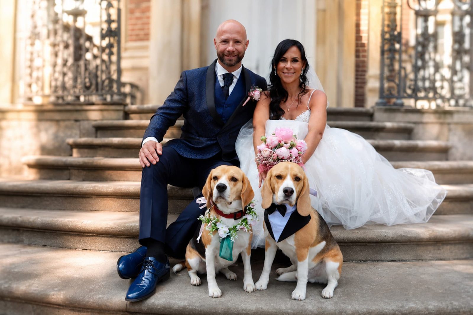 Brautpaar mit zwei Beagles auf einer Steintreppe